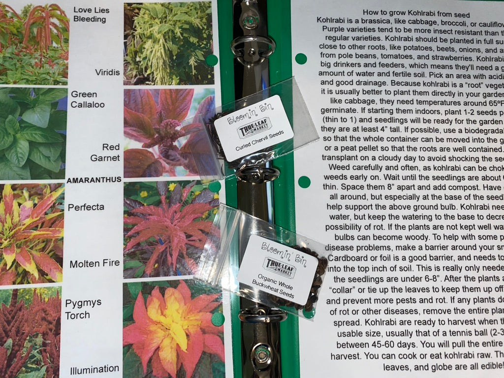 fall garden seed collection Fall Seed Bundle – Bloomin' Bin