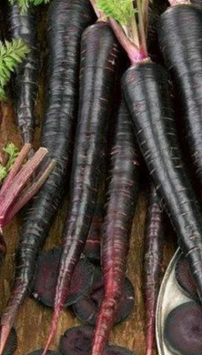 Black Nebula Carrot