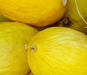 Crenshaw Melon