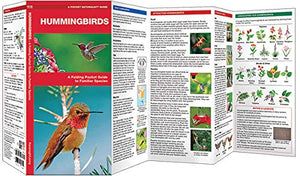 Hummingbird Guide