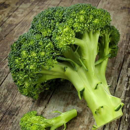Waltham 29 Broccoli