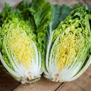 Michihili Chinese Cabbage