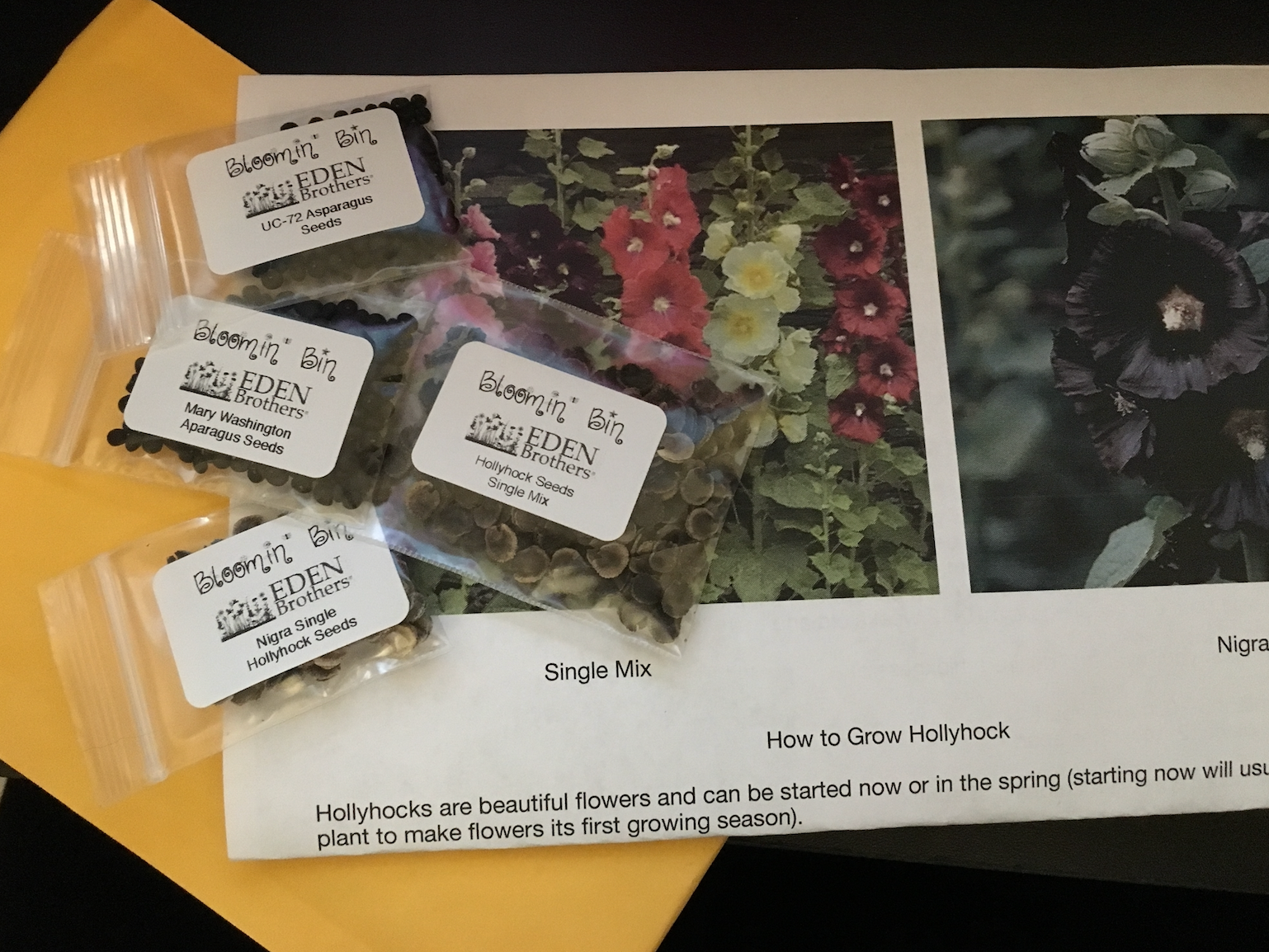 eden brothers flower seeds Fall Seed Bundle – Bloomin' Bin