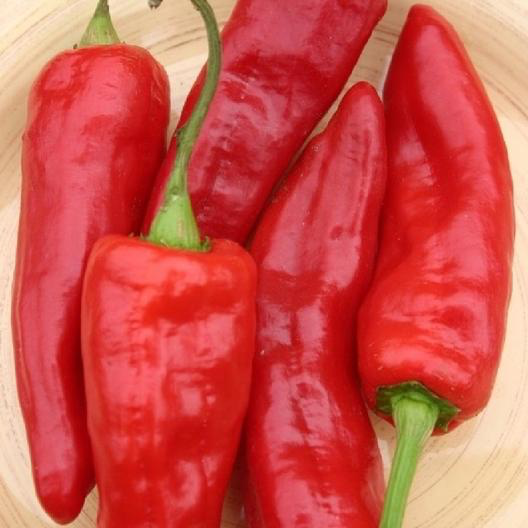 Red Marconi Pepper