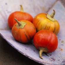 Load image into Gallery viewer, Turkish Orange Eggplant