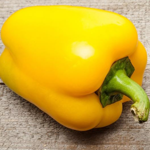 Canary Bell Pepper