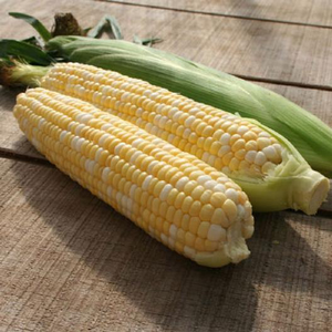 Bilicious Corn