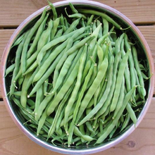 Load image into Gallery viewer, Blue Lake Pole Bean