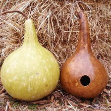 Load image into Gallery viewer, Birdhouse Gourd